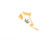 sportkingdom.com.ua